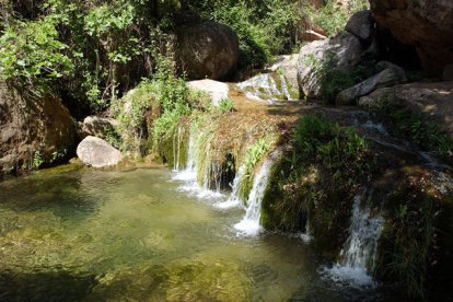 El río acaba pleno de latas y basura que dejan los visitantes incívicos.