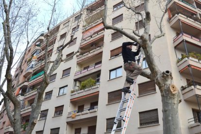 Un técnico instalando