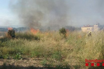 L'incendi va cremar la vegetació de la zona