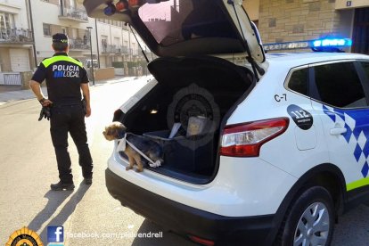 La Policia local del Vendrell s'ha fet càrrec del gos del propietari, traslladat a l'hospital per inhalació de fum