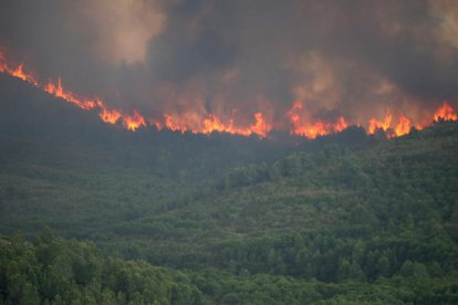 Imatge d'arxiu de l'incendi que va cremar part del terme de Tivissa el 2014.