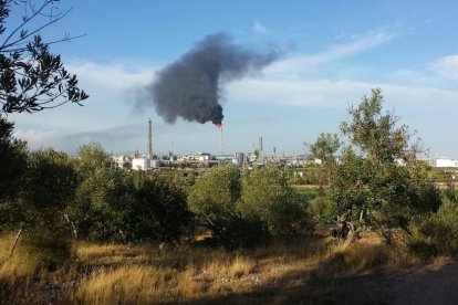 La planta de BASF-Sonatrach emite un intenso humo negro a causa de una parada