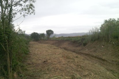 Tramo del torrente de Llorenç donde se hacen los trabajos.