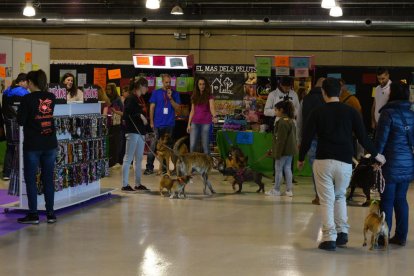 Els animals són els protagonistes de la fira Bestial.