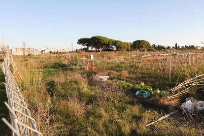 Las fincas cambiarán la orientación y ganarán nuevos servicios.