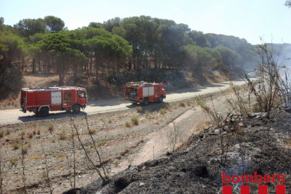 Les dotacions que han treballat en l'extinció de l'incendi de Cambrils.