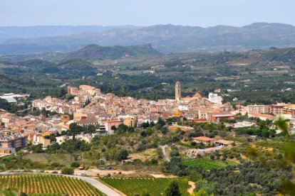 El paisaje del Priorat todavía la última fase para ser declarado Patrimonio Mundial de la Unesco