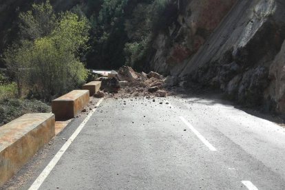 Imatge de l'esllavissada a la carretera C-240z.