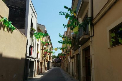 La decoració del carrer de l'Hort fa referència a la vinya.