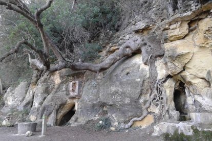 Aspecto que ofrecía la Fuente del Garrote ayer domingo, con el arbe que amenaza con provocar desprendiments en la roca.