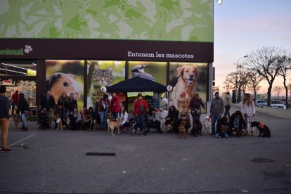 El acontecimiento ha acogido una veintena de perros.