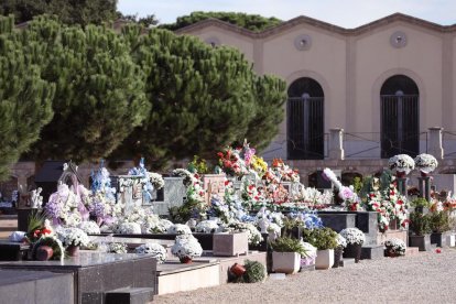 Les instal·lacions havien assolit en els últims anys un elevat percentatge d'ocupació.