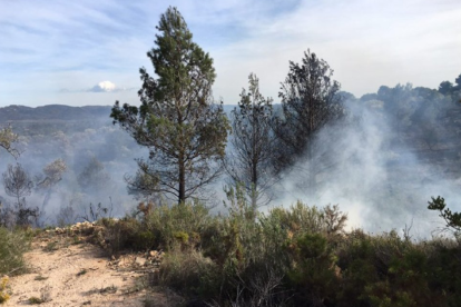 L'incendi de Rasquera ha cremat 2.250 metres quadrats de vegetació agrícola.