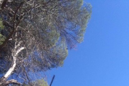 Un home resulta ferit menys greu en saltar d'un gorg de 10 metres al Niu de l'Àliga