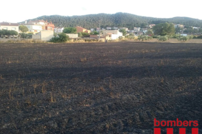 La zona afectada després d'apagar el foc.