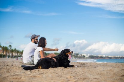 Els propietaris d'animals domèstics ja podran gaudir de la platja acompanyats amb les seves mascotes en època turística.