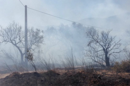 El incendio se ha iniciado en torno a las 15 horas de este martes.