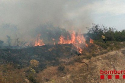 El foc ha cremat una zona de pins.