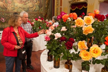 Dos visitants del 70è certamen de roses al Teatre Bartrina, ahir al matí.