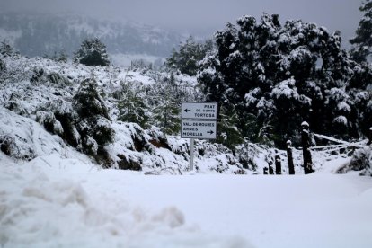 Neu a Horta de Sant Joan