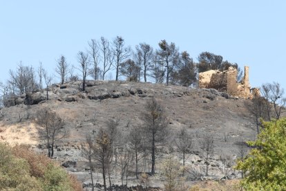 Un edificio abandonado con los efectos del incendio de la Ribera d'Ebre al fondo entre la Palma y Vinebre.