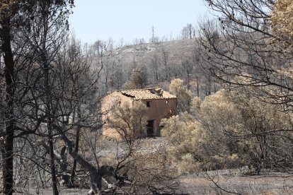 Un edifici abandonat amb els efectes de l'incendi de la Ribera d'Ebre al fons entre la Palma i Vinebre