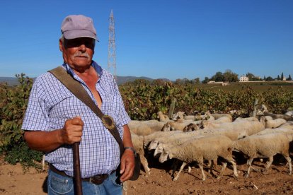 El pastor Salvador López aturat en una vinya propera a l'Arboç.