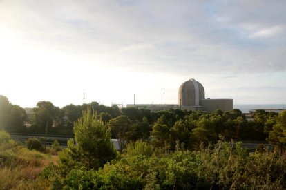 Imagen de las instalaciones de la central nuclear de Vandellòs.