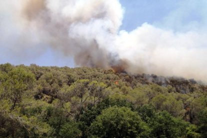 La columna de fum de l'incendi d'Olivella.