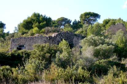 Imatge de les restes d'un molí fariner de Roda de Berà.