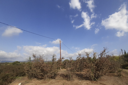 S'instal·laran 2.000 metres de nou cablejat de baixa tensió de tipus trenat.