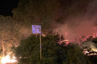 Imagen de las llamas en los matorrals del Vendrell.