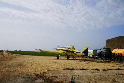 Imatge d'una avioneta que s'utilitza per fer tractaments contra el mosquit al delta de l'Ebre.