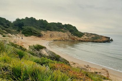 Imagen de la playa Savinosa.