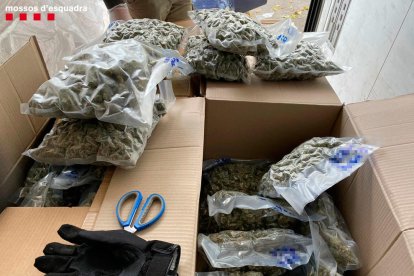 La droga tindria un valor d'uns 420.000 euros al mercat.