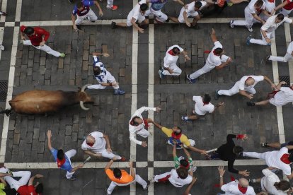 Toros de la ganadería gaditana de Cebada Gago a su paso por la calle de la Estafeta durante el quinto encierro de los Sanfermines.