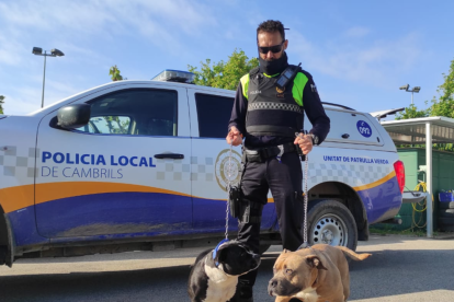 Un agente local con dos perros de raza potencialmente peligrosa.