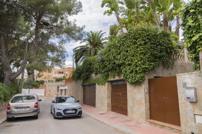 Un dels equips de videovigilància de Cala Romana s'amaga entre la vegetació.