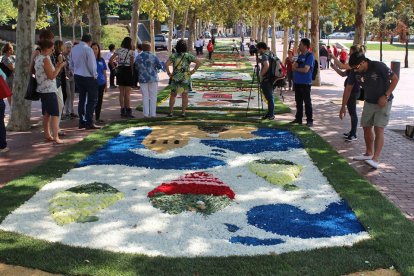 Imatge de la 13a Trobada Nacional de Catifaires a Santa Coloma de Gramenet.