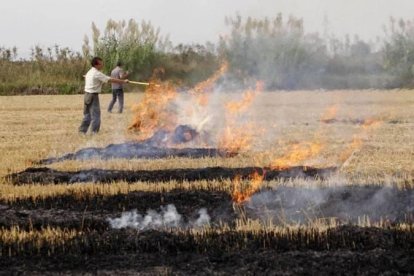 Imagen de unos campesinos realizando una crema