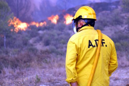 Les ADF esperen el foc al Pont de Vilomara i Rocafort.