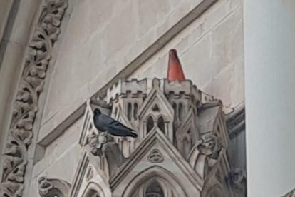 Imatge del con de trànsit a la façana de la Catedral de Cuenca.