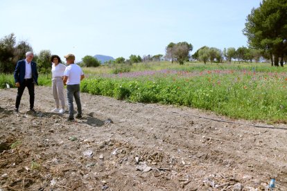 L'alcalde d'Amposta, Adam Tomàs, als terrenys de l'antic abocador d'Amposta que l'Ajuntament ha cedit en custòdia a l'entitat.