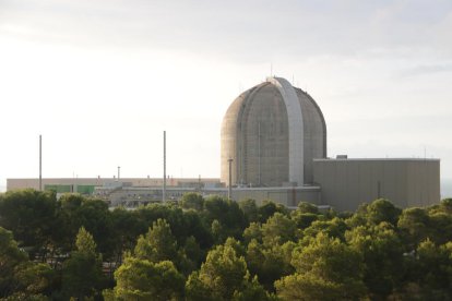 Imatge de les instal·lacions de la central nuclear de Vandellòs.