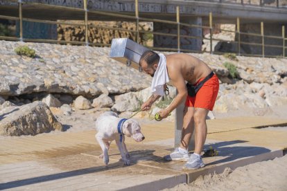 El año pasado se instaló un espacio para perros en la playa del Milagro de Tarragona.