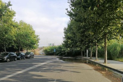 La carretera se inunda por el escape de la cañería, cosa que favorece la proliferación de mosquitos.