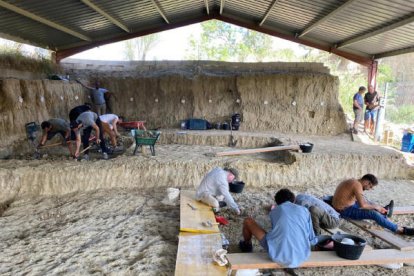 Imatge d'arxiu d'una de les zones d'excavació al jaciment de la Boella.