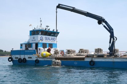 Imatge de la instal·lació dels primers biòtops al mar per protegir la reserva marina de Cambrils.