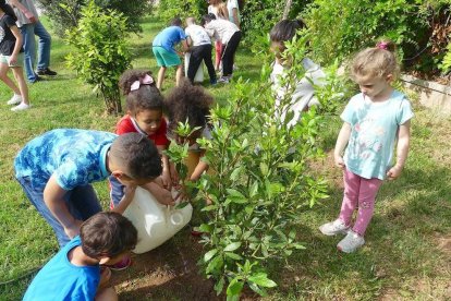 Momento de la plantación.