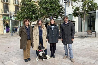 S'han programat més de 40 actuacions al carrer amb grups i entitats molt diversos.